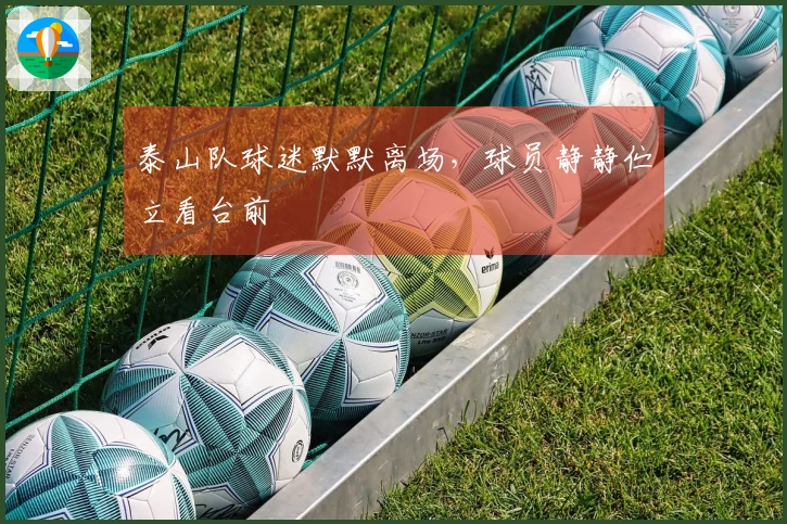 泰山队球迷默默离场，球员静静伫立看台前